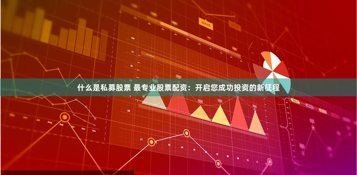 什么是私募股票 最专业股票配资：开启您成功投资的新征程
